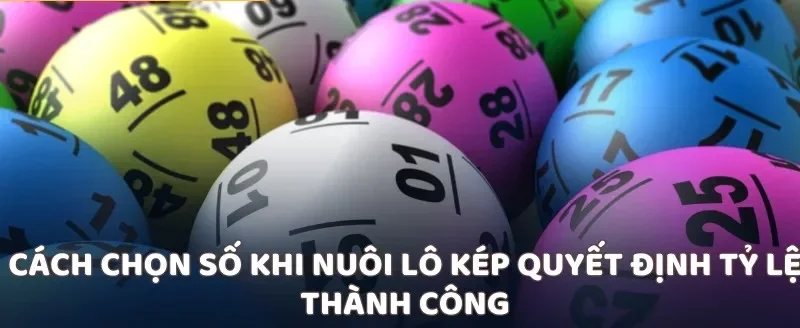 Cách chọn số khi nuôi lô kép quyết định tỷ lệ thành công