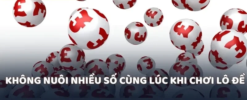 Không nuôi nhiều số cùng lúc khi chơi lô đề