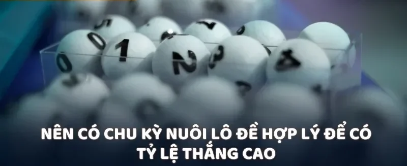 Nên có chu kỳ nuôi lô đề hợp lý để có tỷ lệ thắng cao