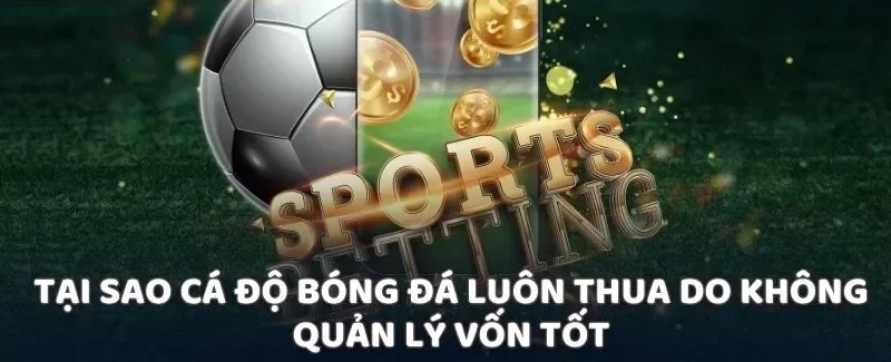 Tại sao cá độ bóng đá luôn thua do không quản lý vốn tốt