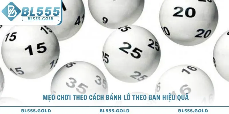 Một số mẹo chơi theo cách đánh lô theo gan hiệu quả