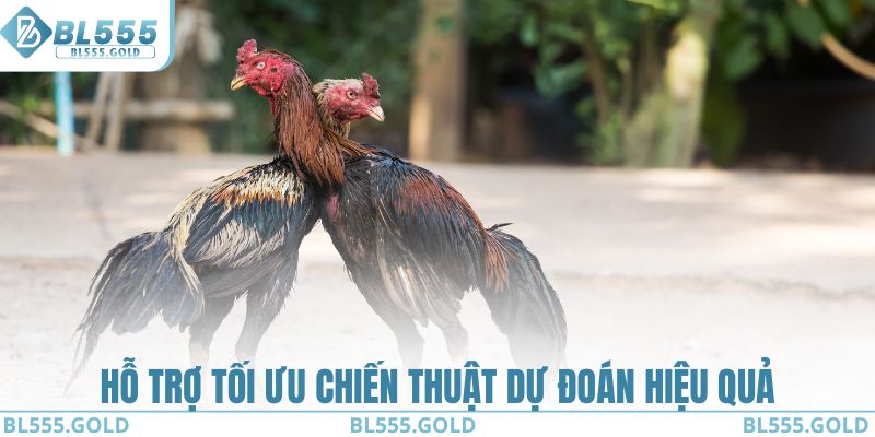 Hỗ trợ tối ưu chiến thuật dự đoán hiệu quả